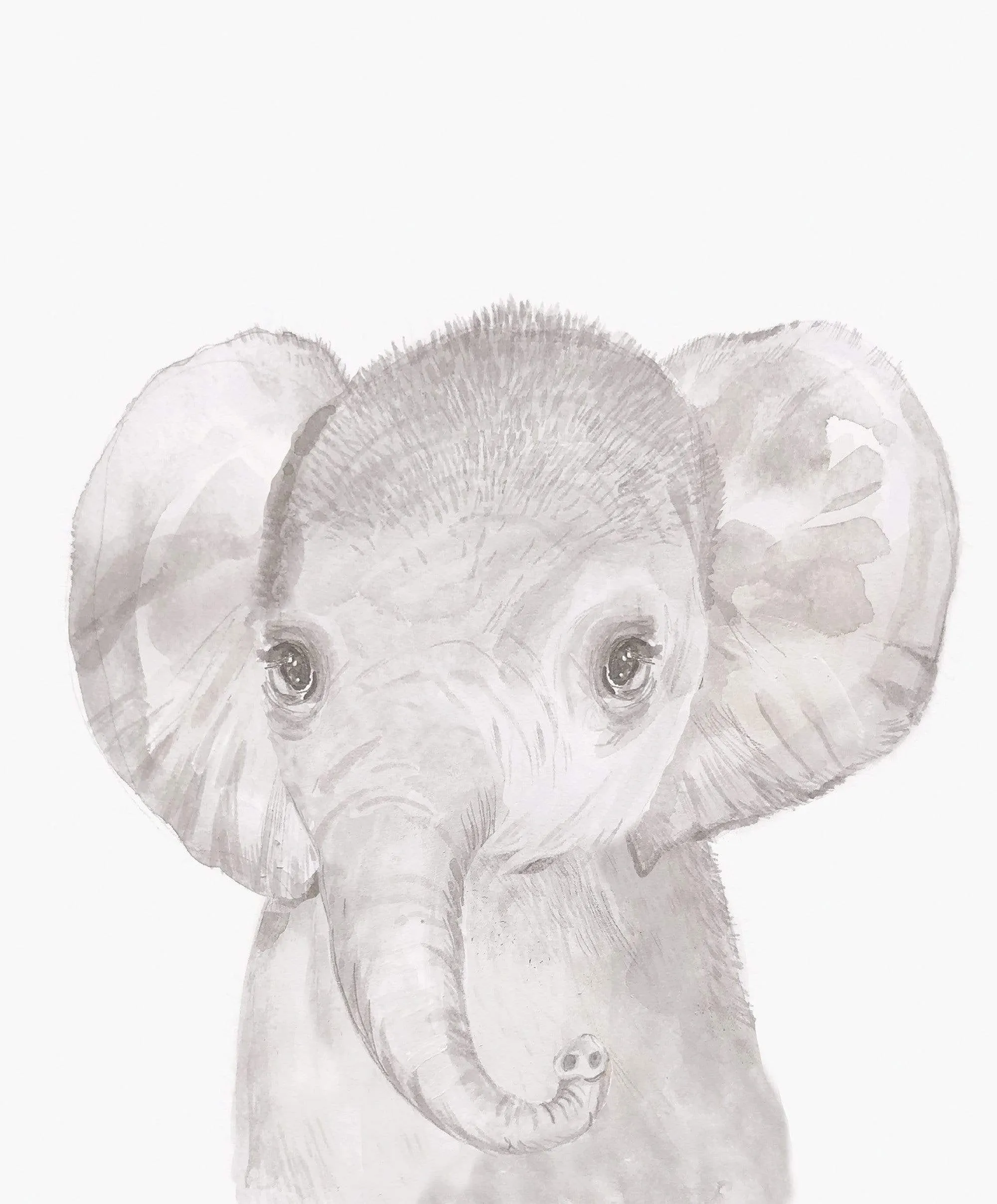 Elephant Wall Art - Welcome to the World