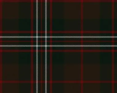 Scott Brown Modern Light Weight Tartan Scarf